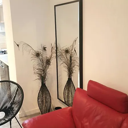 Apartamento Le Rubis - 2 - Centre *