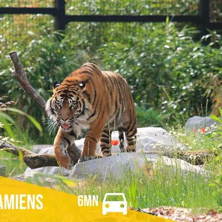 Le Rubis - 2 - Centre * Амьен